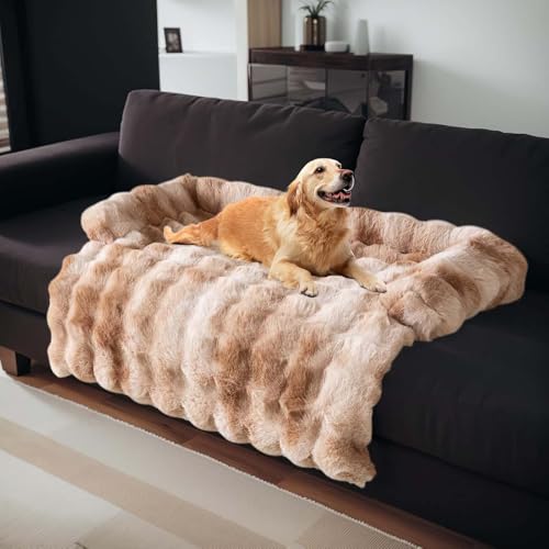 BUNQQF Plüsch-Hundebett mit Nackenpolster, Plüsch-Haustierbett für große Hunde, Universal-Tiermöbelschutz, Schlafsofabezug, maschinenwaschbar dunkelgrau groß BUNQQF Plüsch-Hundebett mit Nackenpolster, Plüsch-Haustierbett für große Hunde, Universal-Tiermöbelschutz, Schlafsofabezug, maschinenwaschbar dunkelgrau groß von BUNQQF