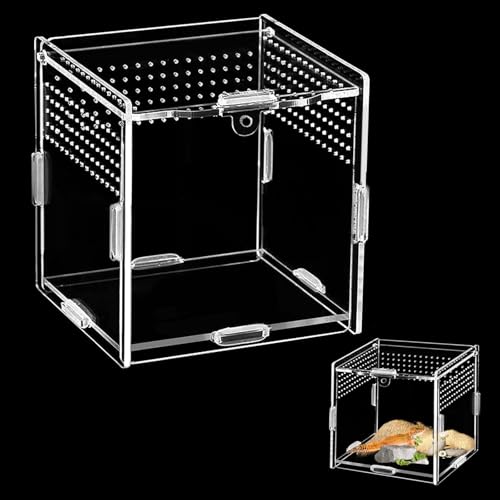 Acryl Terrarium(10cm*10cm*10cm),Mini Terrarium,Springspinne Terrarium,Terrarium Schnecken,Reptilien Fütterungsbox Geeignet für Spinne,Eidechsen,Schnecken,Käfer von BUOSHUO