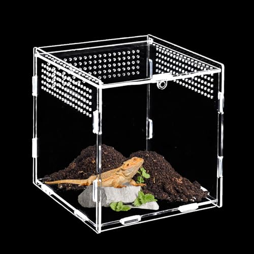 Acryl Terrarium(15cm*15cm*15cm),Mini Terrarium,Springspinne Terrarium,Terrarium Schnecken,Reptilien Fütterungsbox Geeignet für Spinne,Eidechsen,Schnecken,Käfer von BUOSHUO