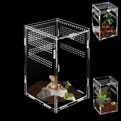 Acryl Terrarium((20cm*12cm*10cm),Mini Terrarium,Springspinne Terrarium,Terrarium Schnecken,Reptilien Fütterungsbox Geeignet für Spinne,Eidechsen,Schnecken,Käfer von BUOSHUO