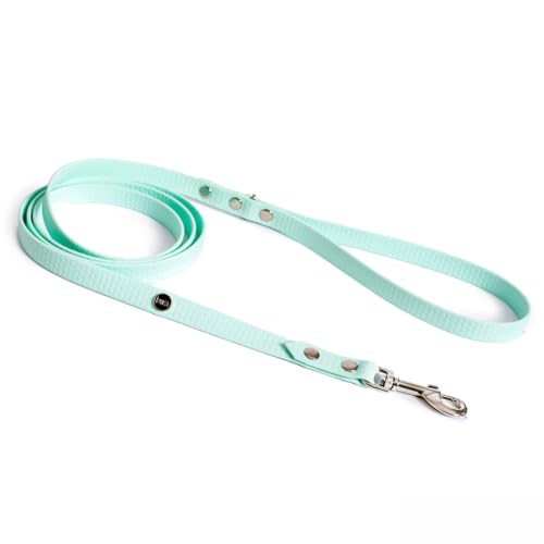 BURA Halsband Hund 180cm für Hunde Hundeleine Große Hunde, Leicht und Handlich, Verformt Sich Nicht, Langlebig, Wasserdicht, Nicht Allergen (Minze, L) von BURA