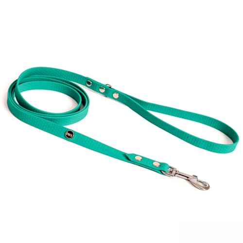 BURA Halsband Hund 180cm für Hunde Hundeleine Große Hunde, Leicht und Handlich, Verformt Sich Nicht, Langlebig, Wasserdicht, Nicht Allergen (grunftalo16, L) von BURA