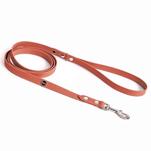 BURA 180cm für Hunde Hundeleine Große Hunde, Leicht und Handlich, Verformt Sich Nicht, Langlebig, Wasserdicht, Nicht Allergen (pfirsich, S) von BURA