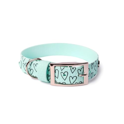BURA Wasserdichtes Hundehalsband – geruchshemmend, robust und bequem – modernes Design mit verschiedenen Mustern – ideal für Spaziergänge und aktive Tage, Großes Herz, Mint, XXS von BURA