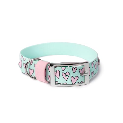 BURA Wasserdichtes Hundehalsband – geruchshemmend, robust und bequem – modernes Design mit verschiedenen Mustern – ideal für Spaziergänge und aktive Tage, Volles Herz, Mint, L von BURA