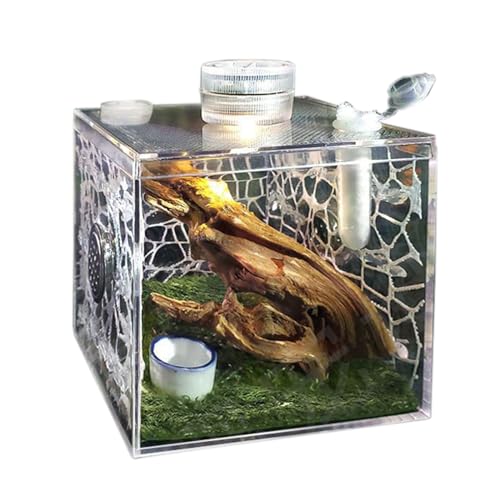 BURLOE Springspinne Gehege, Vogelspinnen Mit Lampe Acryl Reptilien Terrarien Zuchtbox Terrarium Tank Cricket Käfig Schnecken Geckos Fisch Isolations,2 von BURLOE