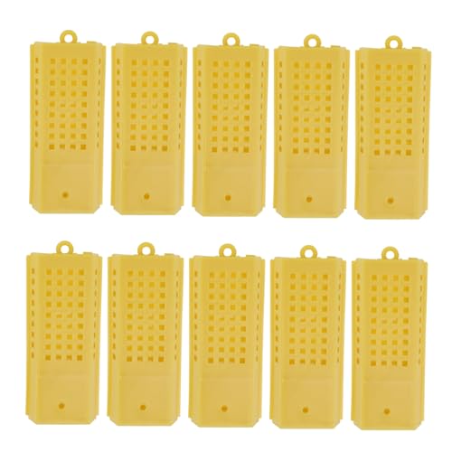 BUTIFULSIC 10 Stück Praktische Bienenfängerkäfige Effektives Beekeeping Zubehör für Sichere Einfangung von Königinnen und Bienen zu Bedienen und Schonend für Tiere BUTIFULSIC 10 Stück Praktische Bienenfängerkäfige Effektives Beekeeping Zubehör für Sichere Einfangung von Königinnen und Bienen zu Bedienen und Schonend für Tiere von BUTIFULSIC