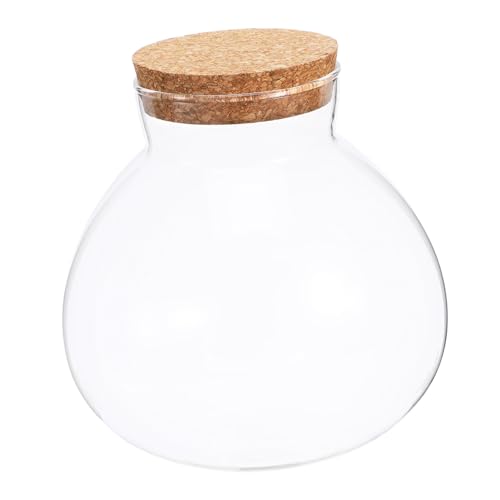 BUTIFULSIC Glasflasche für Miniatur Landschaften Transparentes Pflanzenglas mit Korken für Kreative Dekoration für Wohnzimmer Schlafzimmer Büro BUTIFULSIC Glasflasche für Miniatur Landschaften Transparentes Pflanzenglas mit Korken für Kreative Dekoration für Wohnzimmer Schlafzimmer Büro von BUTIFULSIC