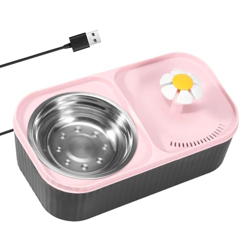 2-In-1 Katze Futternapf Und Wassernapf Set, 3l Katzenbrunnen Trinkbrunnen FüR Katze Doppel-KatzennäPfe Mit Wasserspender Tablett Aus Edelstahl FüR Hunde Katzen (grün, 31 * 17 * 11cm) von BUTORY