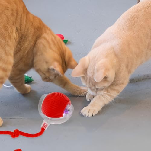 BUTORY 1/2 pcs Katzen Ball Elektrisch, Interaktiver Ball für Hunde Wiederaufladbar über USB, Interaktives Hundespielzeug 4 Modi für Haustiere, Katzen und Hunde (Rot) von BUTORY