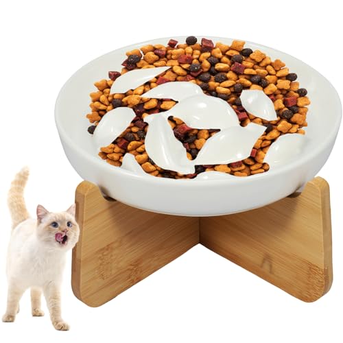 Katzennapf ErhöHt Futternapf Katze Keramik Anti Schling Napf, 15° Gekippte Futterstation Katzen Hundenapf, Anti-Erbrechen KatzennäPfe FüR Katzen Und Kleine Hunde von BUTORY