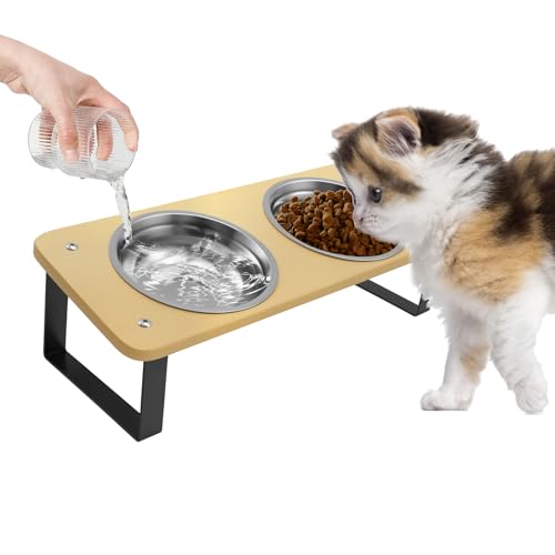 Katzennapf ErhöHt, 15° Gekippte Katzen Napfset 2er Set Futternapf Katze Aus Keramik KatzennäPfe Mit Napfunterlage Silikon Fressnapf Und Wassernapf Im Futterstation Katzen FüR Katzen Und Kleine Hunde Katzennapf ErhöHt, 15° Gekippte Katzen Napfset 2er Set Futternapf Katze Aus Keramik KatzennäPfe Mit Napfunterlage Silikon Fressnapf Und Wassernapf Im Futterstation Katzen FüR Katzen Und Kleine Hunde von BUTORY