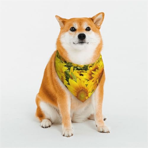 Hunde- oder Katzenschal, Sonnenblumenfeld, bedrucktes Muster, Haustier-Dreieckschal, verschiedene Größen, Haustier-Bandana, Lätzchen, Halstuch Hunde- oder Katzenschal, Sonnenblumenfeld, bedrucktes Muster, Haustier-Dreieckschal, verschiedene Größen, Haustier-Bandana, Lätzchen, Halstuch von BUULOO