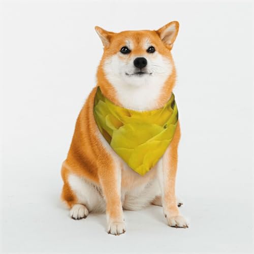 Hunde- oder Katzenschal mit gelben Rosen, bedrucktes Muster, Haustier-Dreieckschal, verschiedene Größen, Haustier-Bandana, Lätzchen, Halstuch von BUULOO