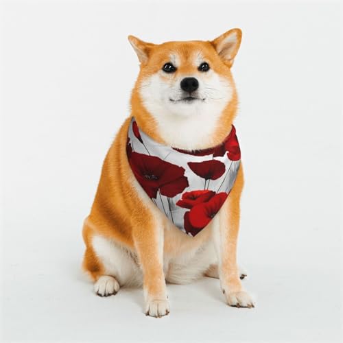 Schal für Hunde oder Katzen, Motiv: rote Mohnblumen, bedrucktes Muster, Haustier-Dreieck-Schal, verschiedene Größen, Haustier-Bandana, Lätzchen, Halstuch von BUULOO