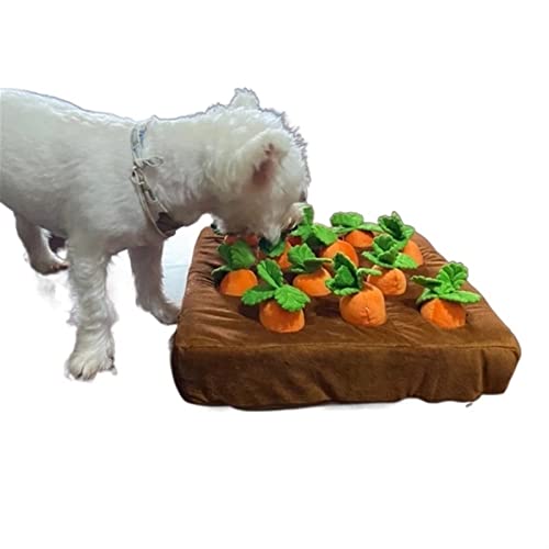 BUUNHI Kauspielzeug für Hunde Haustier Hundespielzeug Karotte Plüschtier Gemüse Kauspielzeug für Hunde Schnüffelmatte für Hunde Zubehör Haustierspielzeug (Color : 35X35CM) von BUUNHI