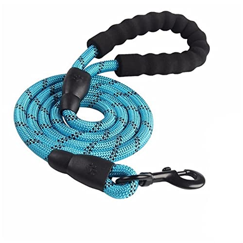Hundeleine 2 m/3 m/5 m große Hundeleine, rundes Nylon, 1,2 cm Durchmesser, reflektierendes Seil, gehender Hund Verstellbare Führleine (Color : Light Blue, Size : 1.2cm x 500cm) von BUUNHI