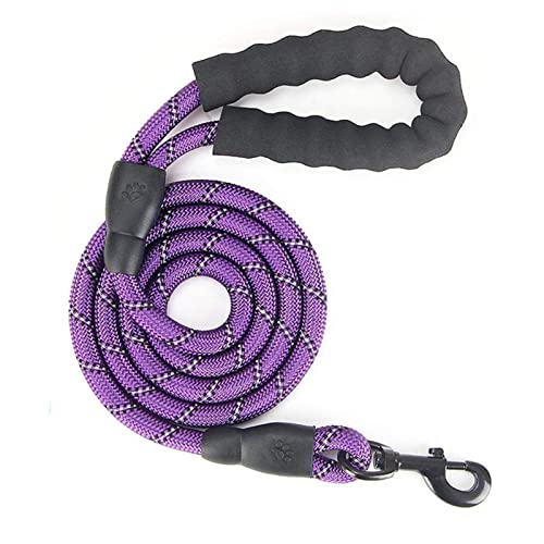 Hundeleine 2 m/3 m/5 m große Hundeleine, rundes Nylon, 1,2 cm Durchmesser, reflektierendes Seil, gehender Hund Verstellbare Führleine (Color : Purple, Size : 1.2cm x 500cm) von BUUNHI