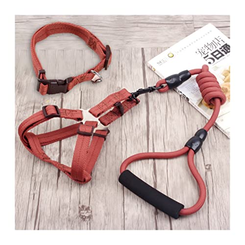 Hundeleine 3-teiliges Set Heimtierbedarf Sicherheitsseil Hundeleine Halsband Set Traktionsseil Brustgeschirr Verstellbare Führleine (Color : 3 Set Brown, Size : S) von BUUNHI