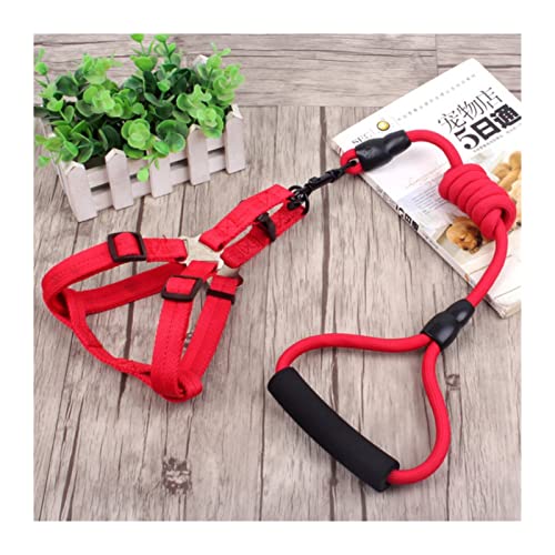 Hundeleine 3-teiliges Set Heimtierbedarf Sicherheitsseil Hundeleine Halsband Set Traktionsseil Brustgeschirr Verstellbare Führleine (Color : Red Leash Harness, Size : XS) von BUUNHI