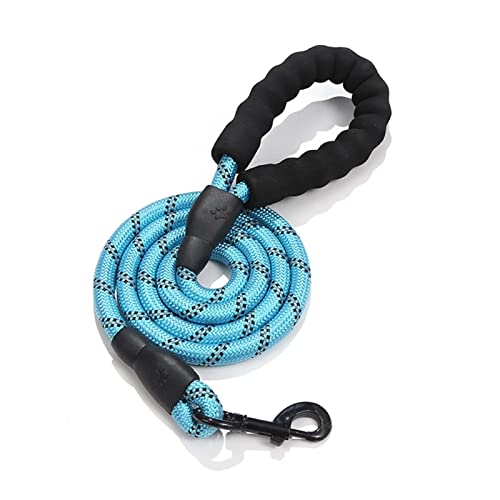 Hundeleine 60in Walk Trainning Harness Leashes Reflektierendes Hundehalsband Nylonseil Heimtierbedarf Verstellbare Führleine (Color : Blue Leash, Size : 150by1cm) von BUUNHI