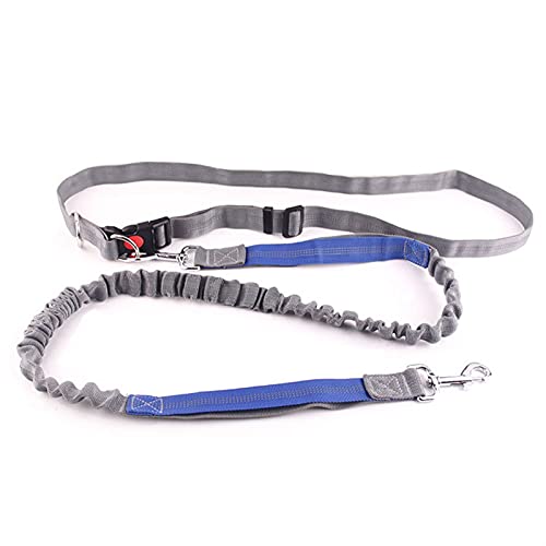 Hundeleine Hund Katze läuft einziehbarer Gürtel Gummiband Walking Training Hundeleine Halsband Set Verstellbare Führleine (Color : Gray, Size : 130CM) von BUUNHI