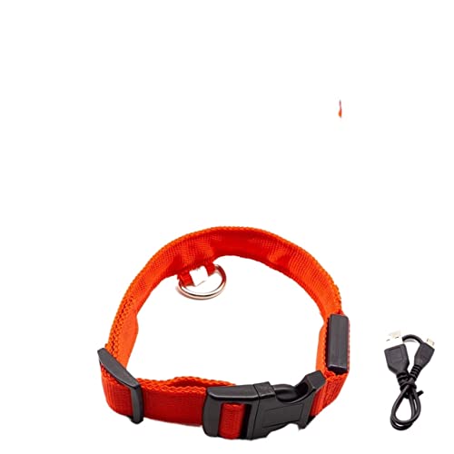 Hundeleine Hundehalsband für Haustiere, Nachtsicherheit, Hundehalsband, Verstellbarer Hundehalsband, Heimtierbedarf Verstellbare Führleine (Color : Red USB Charging, Size : M Neck 40-48 cm) von BUUNHI
