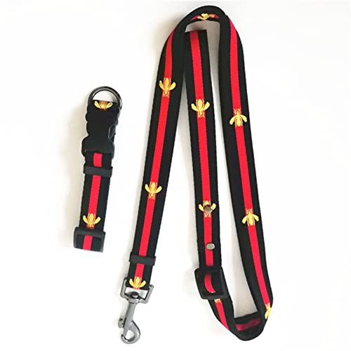 Hundeleine Hundehalsband und Leine Anzug Sicherheitsgurt Haustiergeschirr Verstellbare Führleine (Color : Black Set, Size : S) von BUUNHI