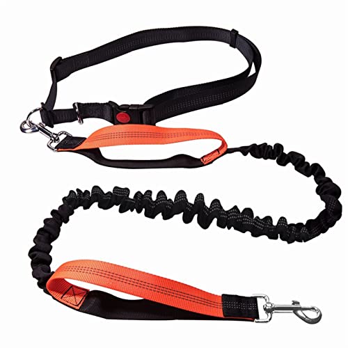 Hundeleine Hundeleine Running Elasticity Haustierprodukte Hundegeschirr Halsband Joggingleine Verstellbare Führleine von BUUNHI
