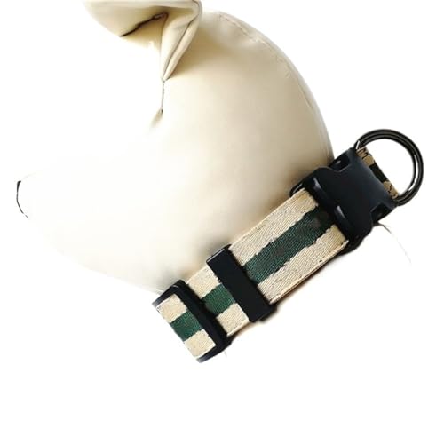 Hundeleine Hundeleine und Halsband Set Hundegeschirr und Leine Set Pet Chest Harness Set Hundezubehör Verstellbare Führleine (Color : Collar, Size : XL) von BUUNHI