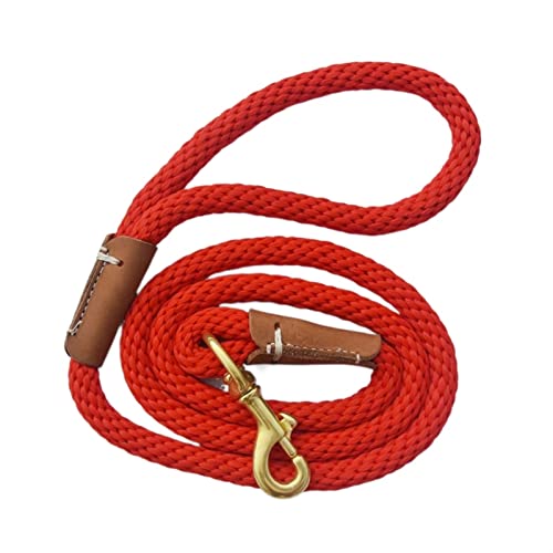 Hundeleine Hundetrainingsleine, Seil, leicht, klein, mittelgroß, Hunde-Tracking-Leinen, 2 m, 5 m, 10 m Verstellbare Führleine (Color : Red, Size : 1.5M (5ft)) von BUUNHI