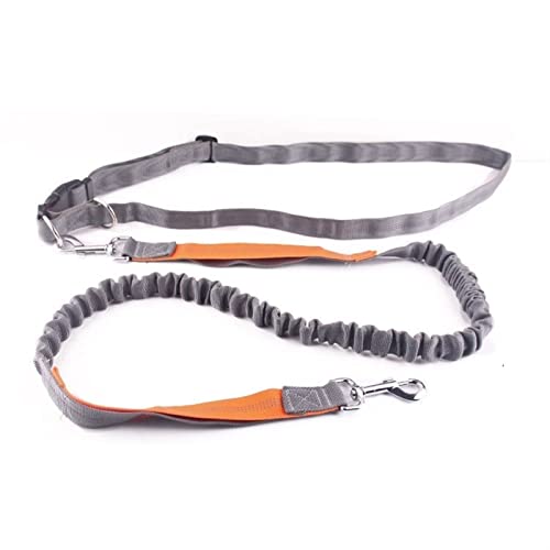 Hundeleine Laufende Hundeleine Haustierprodukte Hundegeschirr Halsband Joggingleine Verstellbare Taillenleinen Verstellbare Führleine (Color : Light Grey) von BUUNHI