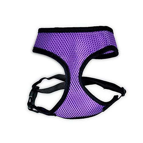 Hundeleine Laufleine für Hündchen, Halsband, Polyester, für kleine, mittelgroße Hunde, Katzen, Haustiere Verstellbare Führleine (Color : Black Purple, Size : S) von BUUNHI