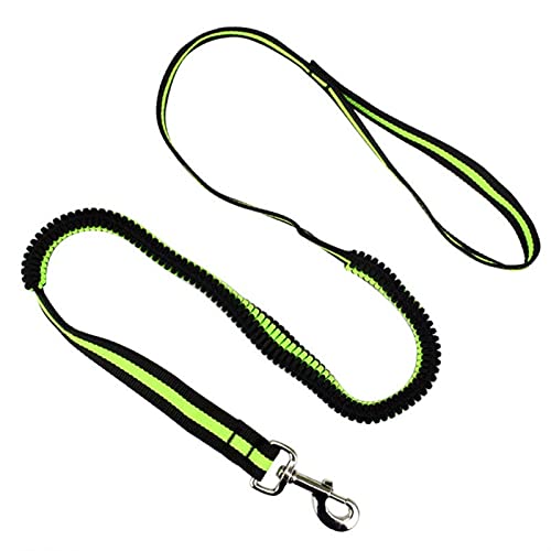 Hundeleine Leine Elastische Haustier Katze Hündchen Leine Anti Dash Pull Hundeleine 190cm Einziehbare Leine Verstellbare Führleine (Color : Green, Size : Width 2.5cm) von BUUNHI