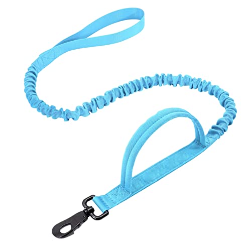 Hundeleine Taktisches Hundehalsband-Leine-Set, verstellbar, militärisches Haustier-Halsband, Bungee-Leine, mittelgroßer Hund Verstellbare Führleine (Color : Blue Leash, Size : XL) von BUUNHI