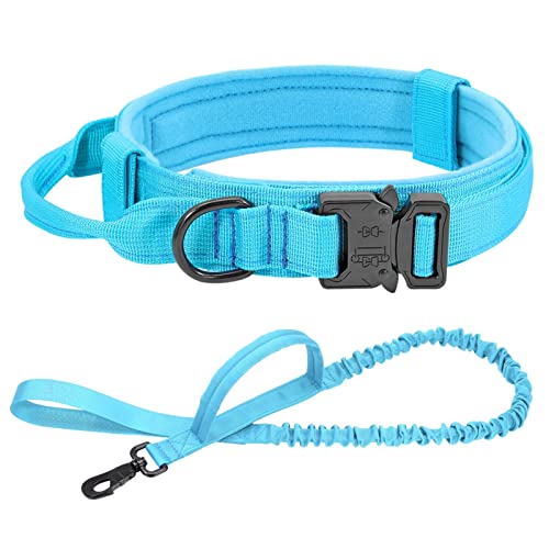 Hundeleine Taktisches Hundehalsband-Leine-Set, verstellbar, militärisches Haustier-Halsband, Bungee-Leine, mittelgroßer Hund Verstellbare Führleine (Color : Blue Set, Size : L) von BUUNHI