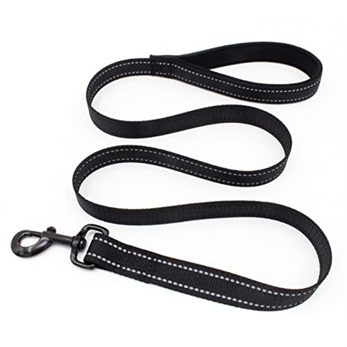 Hundeleine Verstellbares Hundehalsband mit Schnalle für kleine, mittelgroße Hunde, Pitbull-Leine, Hundekette Verstellbare Führleine (Color : Leash, Size : M) von BUUNHI