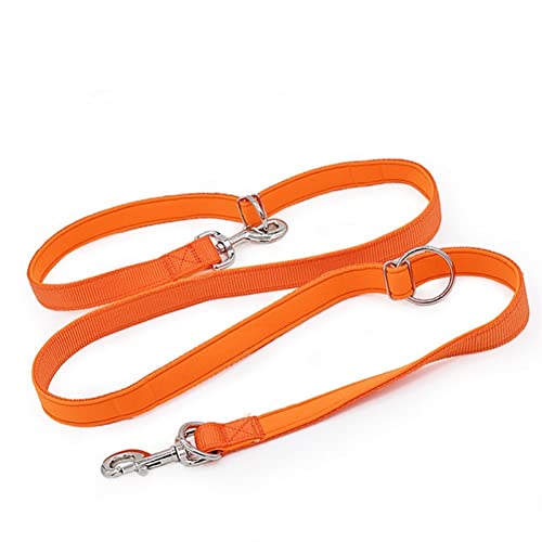 Hundeleine Zwei Hundeleinen, P-Kettenhalsband, verstellbar, langes, kurzes Seil, Lauftrainingsleinen für Hunde Verstellbare Führleine (Color : Orange, Size : 15mmX200cm) von BUUNHI