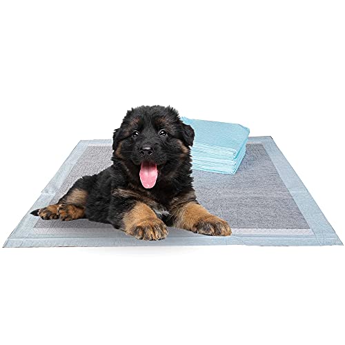 BV XL Puppy Pads X-Large Leak-Proof 71.1 cmx86.4 cm [40CT] | Carbon Pee Pads for Dogs Ultra Absorbent - Charcoal Dog Pee Pads Extra Large - Dog Pads XL - Potty Pads for Dogs, Training Pads for Dogs, von BV