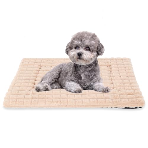 BVAGSS Flauschiges Orthopädisches Hundebett, Waschbar Hundematte, rutschfeste Unterseite, Plüsch Hundekissen Weiche und Warme Hundematte für klein mittel große Hunde XH082 (75x50cm,Aprikose) von BVAGSS
