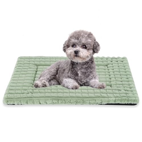 BVAGSS Flauschiges Orthopädisches Hundebett, Waschbar Hundematte, rutschfeste Unterseite, Plüsch Hundekissen Weiche und Warme Hundematte für klein mittel große Hunde XH082 (75x50cm,Grün) von BVAGSS