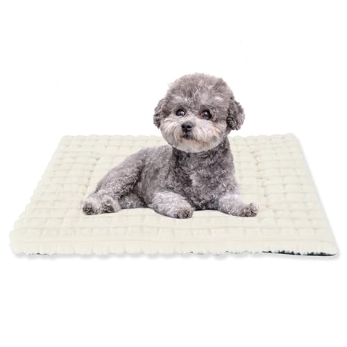 BVAGSS Flauschiges Orthopädisches Hundebett, Waschbar Hundematte, rutschfeste Unterseite, Plüsch Hundekissen Weiche und Warme Hundematte für klein mittel große Hunde XH082 (75x50cm,Weiß) von BVAGSS