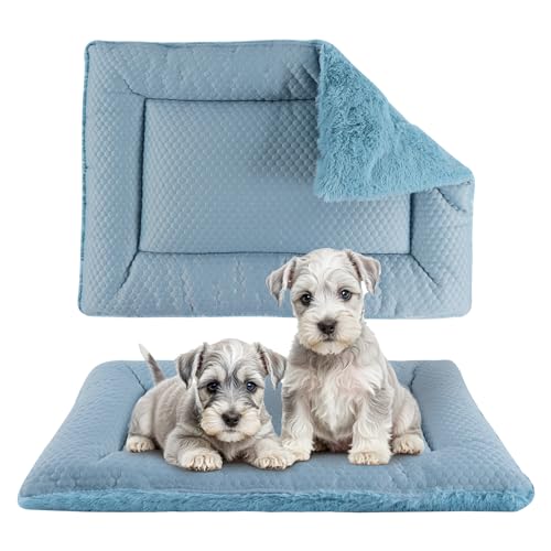 BVAGSS Hundebett Kleine Hunde Reversible, kühl und warm Matten Hundekissen, Waschbar Hundematte für klein mittel große Hunde XH080 (106x71cm,Blau) von BVAGSS