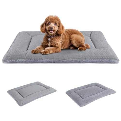 BVAGSS Hundebett Kleine Hunde Reversible, kühl und warm Matten Hundekissen, Waschbar Hundematte für klein mittel große Hunde XH080 (60x45cm,Grau) von BVAGSS