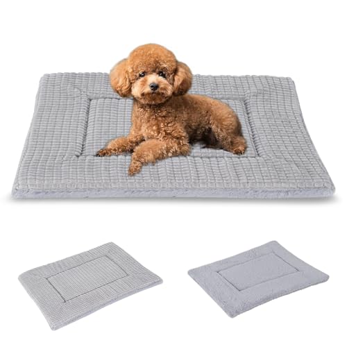 BVAGSS Orthopädisches Hundebett, Waschbar Hundekissen flauschig Hundematte, Umkehrbar Weiche und Warme Hundematte für klein mittel große Hunde XH079 (60x45x4cm,Grey) von BVAGSS