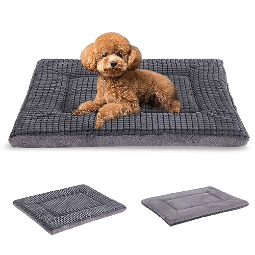 BVAGSS Orthopädisches Hundebett, Waschbar Hundekissen flauschig Hundematte, Umkehrbar Weiche und Warme Hundematte für klein mittel große Hunde XH079 (60x45x4cm,Light Grey) von BVAGSS