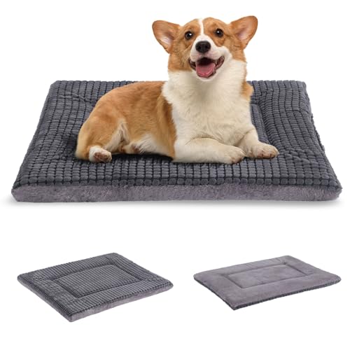 BVAGSS Orthopädisches Hundebett, Waschbar Hundekissen flauschig Hundematte, Umkehrbar Weiche und Warme Hundematte für klein mittel große Hunde XH079 (76x50x4cm,Light Grey) von BVAGSS