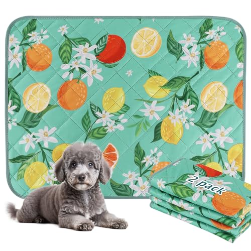 BVAGSS Waschbar Haustier Urinunterlage, 2 Stück Wiederverwendbare Trainingsunterlagen für Welpen, Super Saugfähig Welpenunterlagen Haustier Hygieneunterlage XH081 (60x45cm,Green Lemon) von BVAGSS