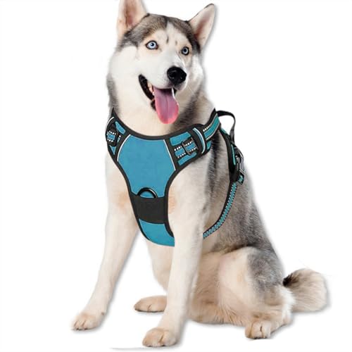 BVEOYPET Hundegeschirr, verstellbar, weich gepolstert, mit 2 Leinenclips, kein Ziehen, Haustiergeschirr mit 2 Schnappschnallen, reflektierend, kein Würgen, Oxford-Weste für kleine, mittelgroße und BVEOYPET Hundegeschirr, verstellbar, weich gepolstert, mit 2 Leinenclips, kein Ziehen, Haustiergeschirr mit 2 Schnappschnallen, reflektierend, kein Würgen, Oxford-Weste für kleine, mittelgroße und von BVEOYPET