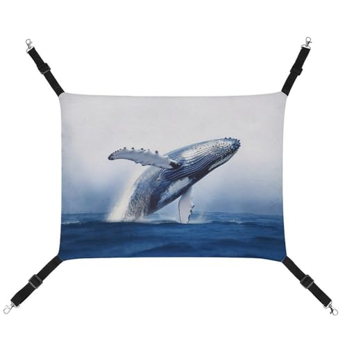 BVKWNTSA Geeignet für alle Jahreszeiten! Canvas Blue Ocean Wal bedruckte Haustierhängematte, hängendes Katzen- und Hundebett, atmungsaktiv und bequem, unverzichtbar BVKWNTSA Geeignet für alle Jahreszeiten! Canvas Blue Ocean Wal bedruckte Haustierhängematte, hängendes Katzen- und Hundebett, atmungsaktiv und bequem, unverzichtbar von BVKWNTSA